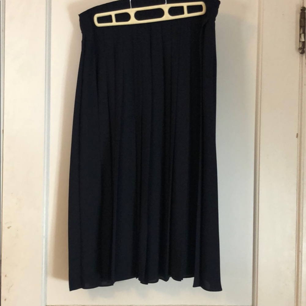 New JCrew skirt